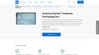 
                            10. American Express Corporate P Card