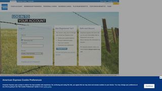 
                            3. American Express/Logon to Account Access