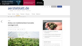 
                            12. Anbau von medizinischem Cannabis verzögert sich