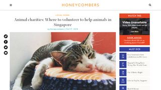 
                            8. Animal charities: Where to volunteer to help animals in Singapore