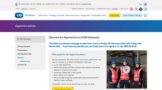 
                            10. Apprenticeships - ESB Networks