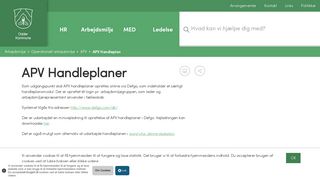 
                            11. APV Handleplan - Odder Kommune