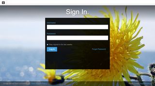 
                            6. Ashford Hospital :: Login