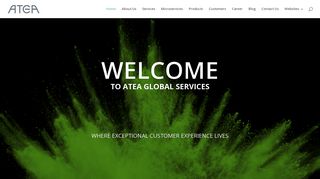 
                            5. Atea Global Services: Start page