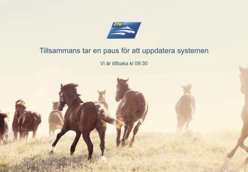 
                            3. Atg Tillsammans ikon, trav, v75 - ATG Tillsammans - Mina lag