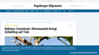 
                            10. Ausbreitung verhindern: Reblaus-Comeback: Klimawandel bringt ...