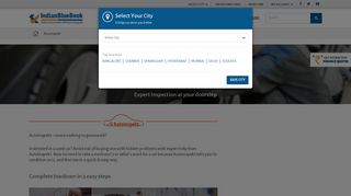 
                            2. Autoinspekt - Expert Car Inspection - IndianBlueBook