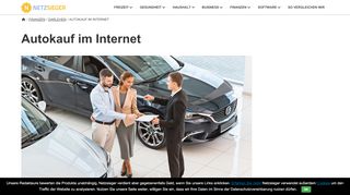
                            3. Autokauf im Internet | NETZSIEGER