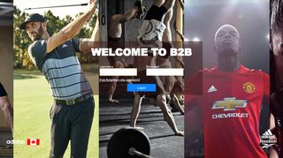 
                            10. B2B - adidas Group