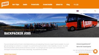 
                            11. Backpacker jobs - Work and Travel New Zealand | Stray NZ - Stray Bus