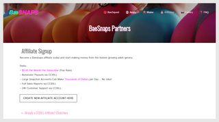 
                            3. BaeSnaps Partners - Premium Snapchat Girls