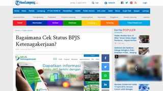 
                            11. Bagaimana Cek Status BPJS Ketenagakerjaan? - Tribun Lampung