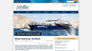 
                            7. Baja California Whale Watching Tour Los Cabos | Amstar Excursion