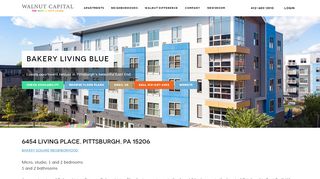 
                            10. Bakery Living Blue - Walnut Capital