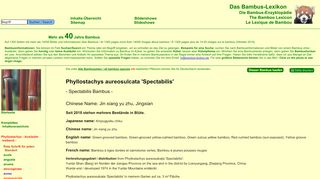 
                            11. Bambus-Lexikon: Phyllostachys aureosulcata 'Spectabilis'