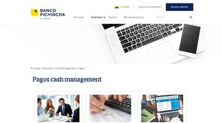 
                            4. Banco Pichincha - Pagos cash management - Empresas