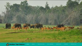 
                            2. Bandipur Tiger Reserve