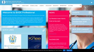 
                            11. BASK Professional - British Association for Surgery of the Knee