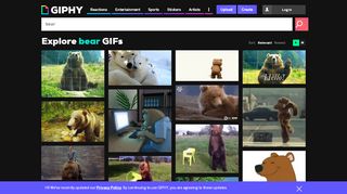 
                            2. Bear GIFs - Get the best GIF on GIPHY