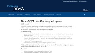 
                            8. Becas Fundación BBVA Bancomer