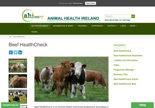 
                            10. Beef HealthCheck – Animal Health Ireland