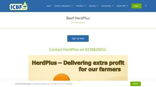 
                            5. Beef HerdPlus - ICBF