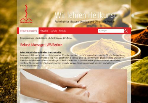 
                            7. Befund-Massage: LWS/Becken - Bio-Medica Basel