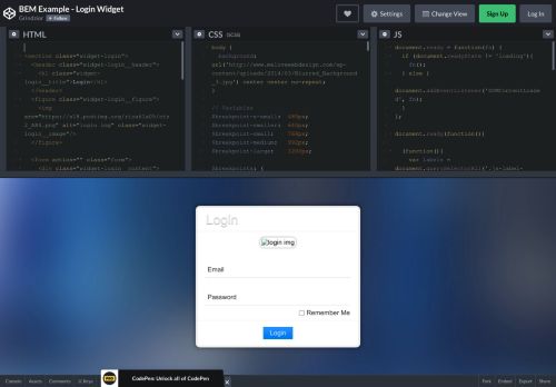 
                            8. BEM Example - Login Widget - CodePen