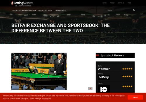 
                            13. Betfair Exchange and Sportsbook: The difference between the two ...