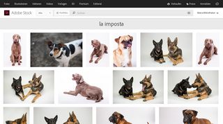 
                            12. Bilder und Videos suchen: bis: la imposta - Fotolia