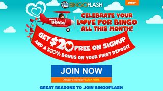 
                            1. Bingo Flash