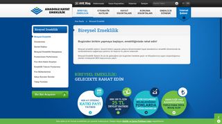 
                            6. Bireysel Emeklilik Sistemi (BES) | Anadolu Hayat Emeklilik