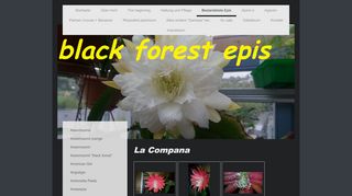 
                            4. Black Forest Epis - La Compana
