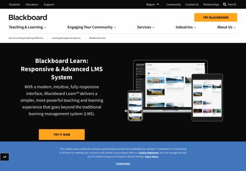 
                            3. Blackboard Learn | Learning Management System