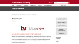 
                            13. BlazeVIEW - Valdosta State University