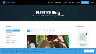 
                            9. Blog / FLEETIZE