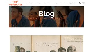 
                            6. Blog - VeteduKa - Escola de Profissionais