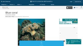 
                            5. Blue coral | cnidarian order | Britannica.com