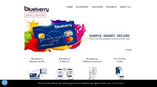 
                            3. Blueberry Payment Solutions