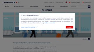 
                            8. BlueBiz, le programme des PME-PMI - Air France Réunion
