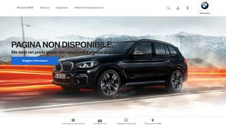 
                            3. BMW ConnectedDrive : Remote Services