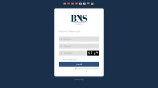 
                            3. BNS: Login To your Account