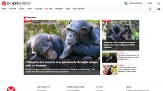 
                            5. bonobos - latest news, breaking stories and comment - The Independent