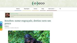 
                            10. Bonobos: nome engraçado, destino nem um pouco - ((o))eco