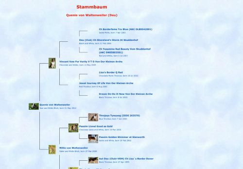 
                            7. Border Collies von Waltenweiler - Stammbaum Quenie