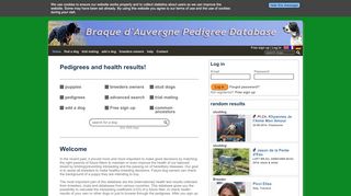 
                            7. Braque d'Auvergne pedigrees - PedigreeDatabaseOnline.com