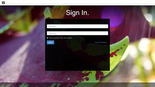 
                            5. BrightSign :: Login