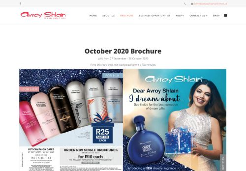 
                            4. Brochure - Avroy Shlain