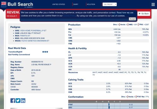 
                            9. Bull Search - 29HO17355 - REVENUE-P - LIS K&L PB REVENUE P