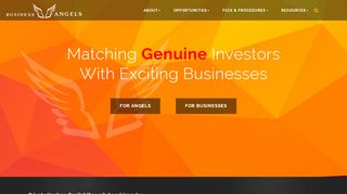 
                            6. Business Angels - Private Venture Capital through Angel Investors